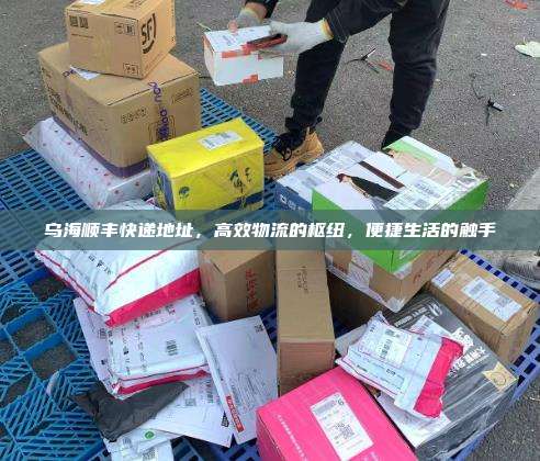 乌海顺丰快递地址,高效物流的枢纽,便捷生活的触手