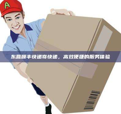 东营顺丰快递寄快递，高效便捷的服务体验