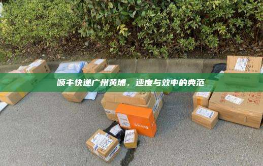 顺丰快递广州黄埔，速度与效率的典范