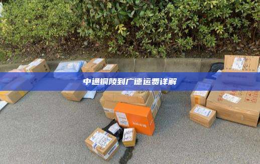 中通铜陵到广德运费详解