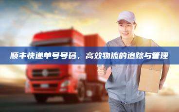 顺丰快递单号号码，高效物流的追踪与管理