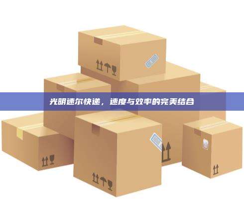 光明速尔快递，速度与效率的完美结合