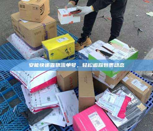 安能快递查物流单号，轻松追踪包裹动态