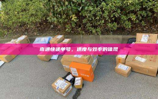 南通快递单号,速度与效率的体现