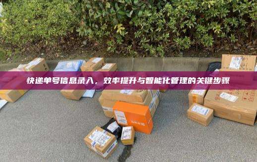 快递单号信息录入，效率提升与智能化管理的关键步骤