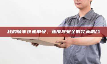 我的顺丰快递单号，速度与安全的完美融合