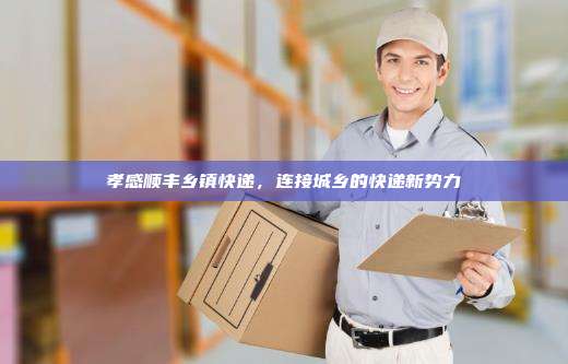 孝感顺丰乡镇快递，连接城乡的快递新势力
