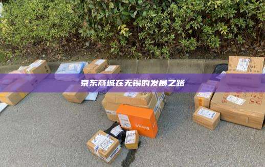 京东商城在无锡的发展之路