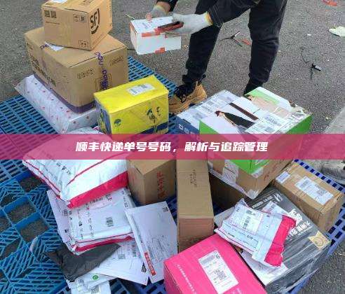 顺丰快递单号号码，解析与追踪管理