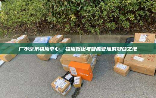广水京东物流中心，物流枢纽与智能管理的融合之地
