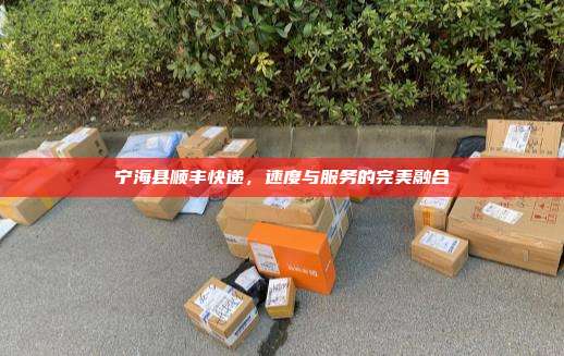 宁海县顺丰快递，速度与服务的完美融合