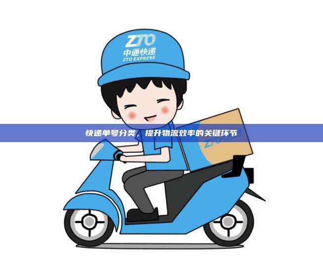 快递单号分类，提升物流效率的关键环节