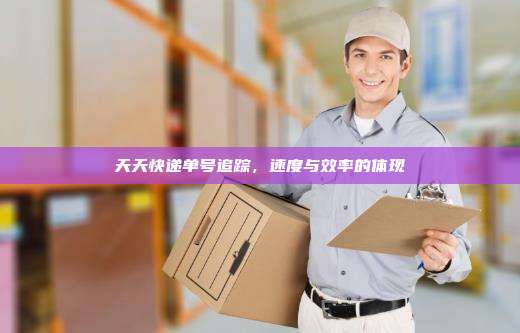 天天快递单号追踪，速度与效率的体现
