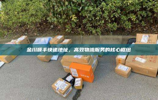 金川顺丰快递地址，高效物流服务的核心枢纽