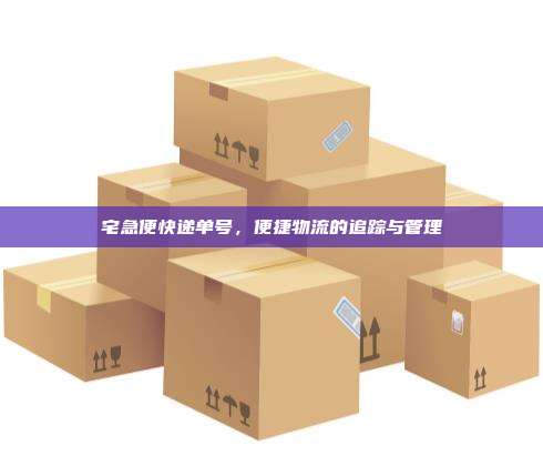 宅急便快递单号，便捷物流的追踪与管理