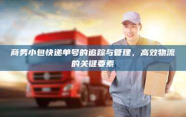 商务小包快递单号的追踪与管理，高效物流的关键要素