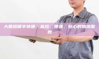 大园路顺丰快递，高效、便捷、贴心的物流服务