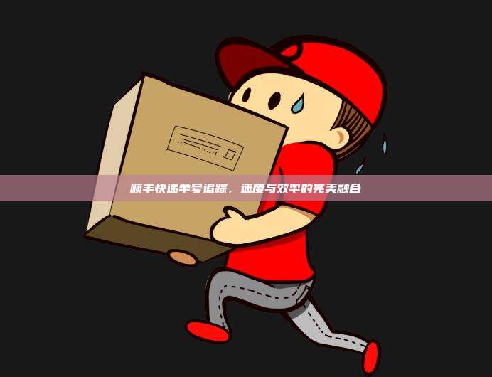 顺丰快递单号追踪，速度与效率的完美融合