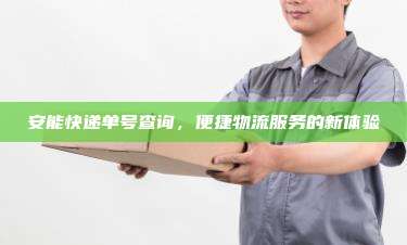 安能快递单号查询,便捷物流服务的新体验