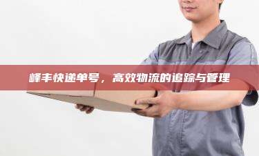 峰丰快递单号，高效物流的追踪与管理