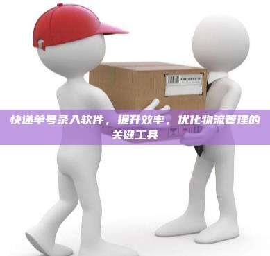 快递单号录入软件，提升效率，优化物流管理的关键工具