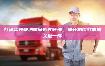 打造高效快递单号格式管理，提升物流效率的关键一环