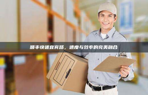 顺丰快递宜宾路，速度与效率的完美融合