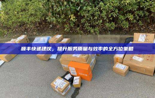 顺丰快递建议，提升服务质量与效率的全方位策略