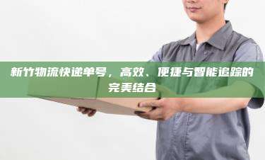 新竹物流快递单号，高效、便捷与智能追踪的完美结合