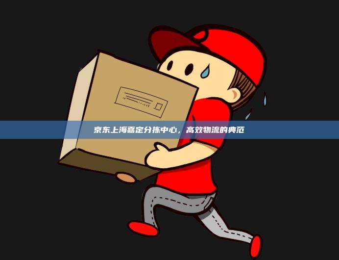 京东上海嘉定分拣中心，高效物流的典范