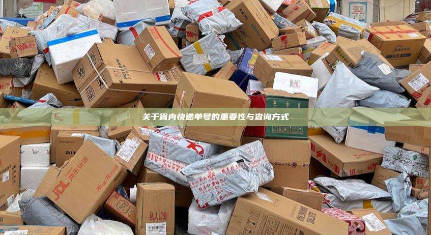 关于省内快递单号的重要性与查询方式