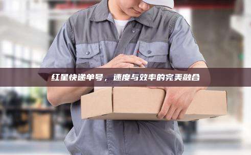 红星快递单号，速度与效率的完美融合
