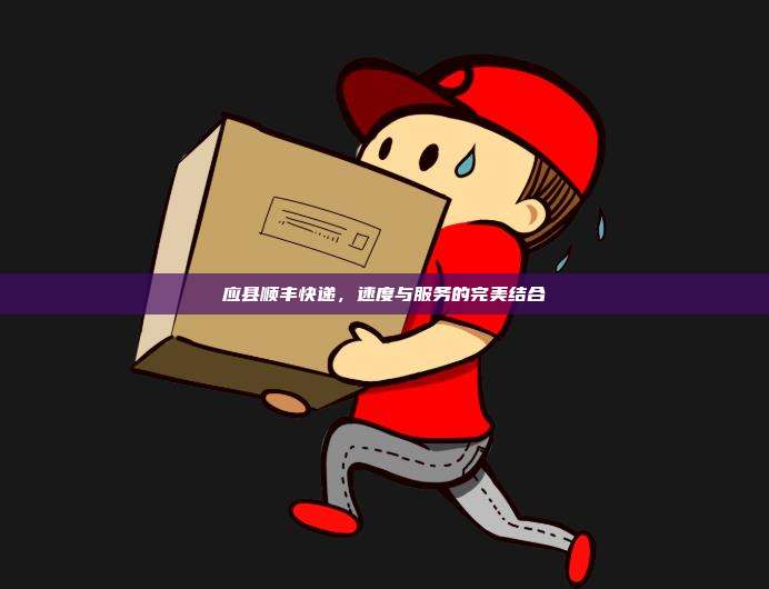 应县顺丰快递，速度与服务的完美结合