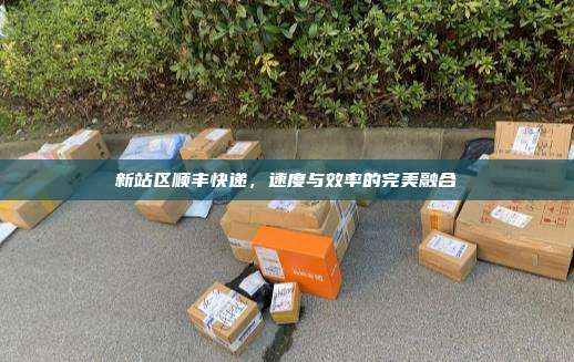 新站区顺丰快递，速度与效率的完美融合