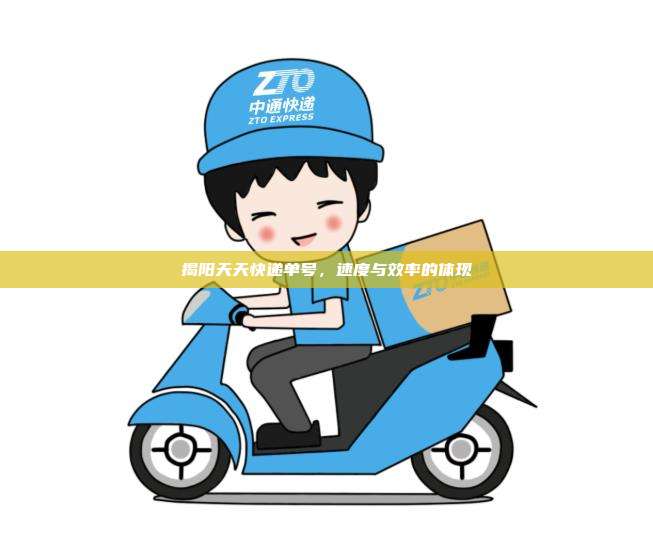 揭阳天天快递单号，速度与效率的体现