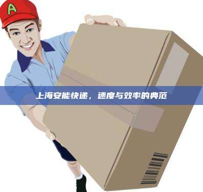上海安能快递，速度与效率的典范