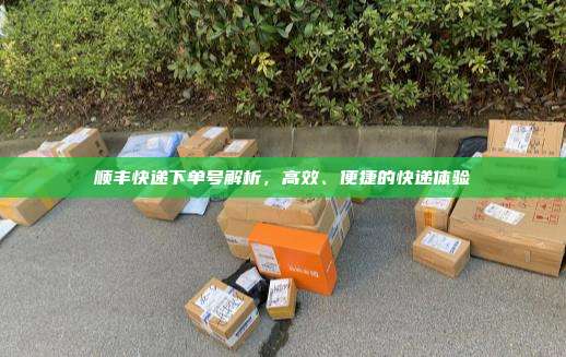 顺丰快递下单号解析，高效、便捷的快递体验