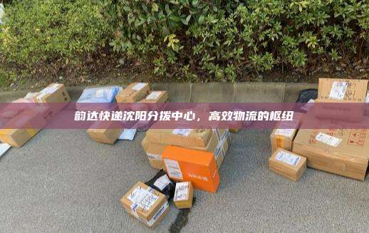韵达快递沈阳分拨中心，高效物流的枢纽