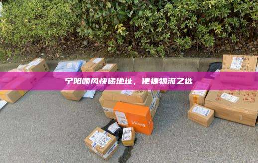 宁阳顺风快递地址，便捷物流之选
