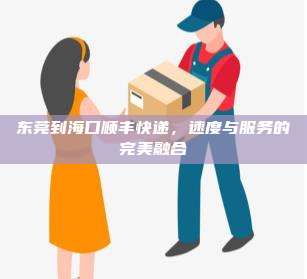 东莞到海口顺丰快递，速度与服务的完美融合