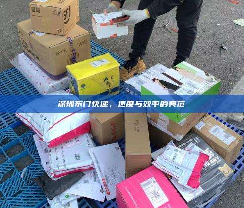 深圳东门快递，速度与效率的典范
