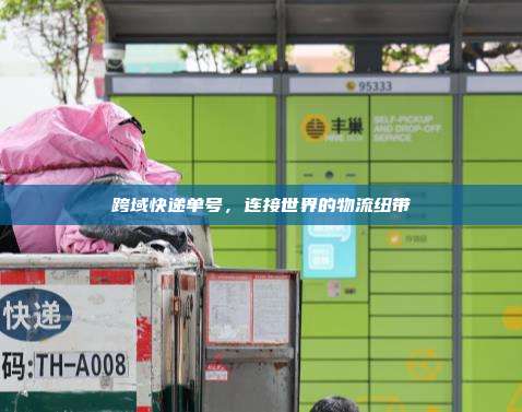跨域快递单号，连接世界的物流纽带