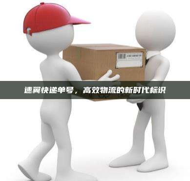速翼快递单号，高效物流的新时代标识