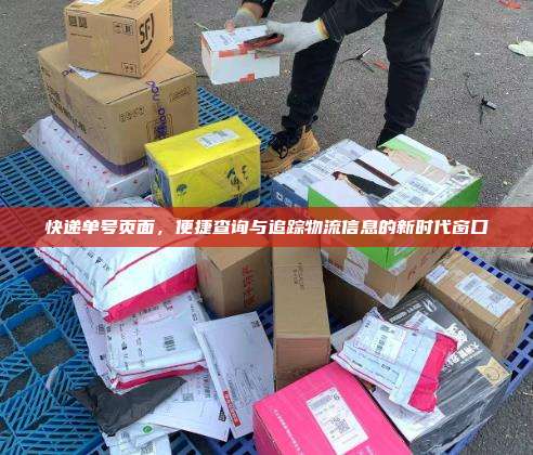 快递单号页面，便捷查询与追踪物流信息的新时代窗口