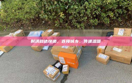 射洪韵达快递，连接城乡，传递温暖