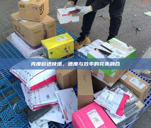 克度韵达快递,速度与效率的完美融合
