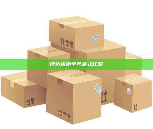 速达快递单号格式详解