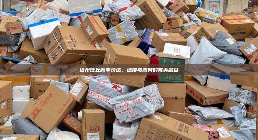 沧州任丘顺丰快递，速度与服务的完美融合