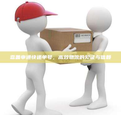 嘉善申通快递单号,高效物流的见证与信赖