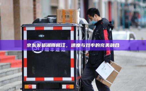 京东发货湖南桃江,速度与效率的完美融合